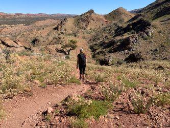 Larapinta Trail . Australia.