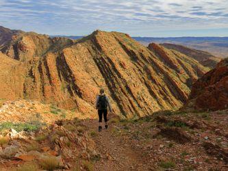 Larapinta Trail . Australia.